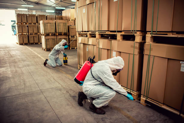 Best Pest Removal Services  in Haviland, NY