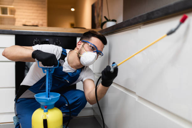 Trusted Haviland, NY Pest Control Experts