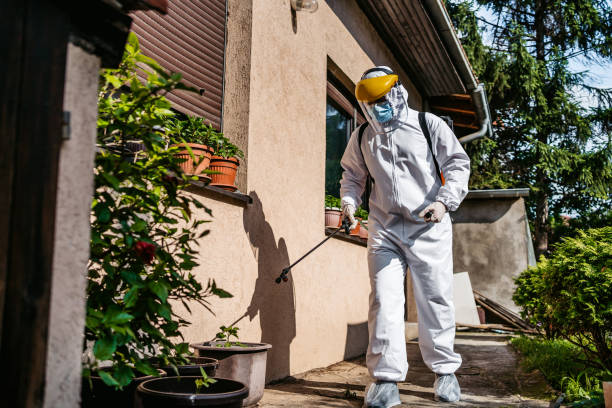 Best Flea Control Services  in Haviland, NY