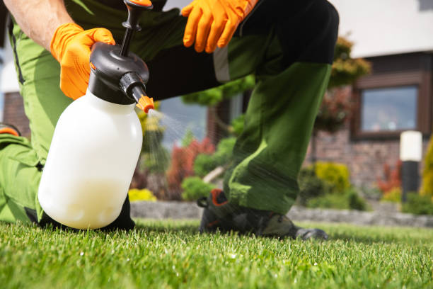 Best Commercial Pest Control Services  in Haviland, NY
