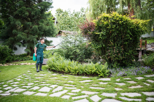 Wildlife Control Services in Haviland, NY