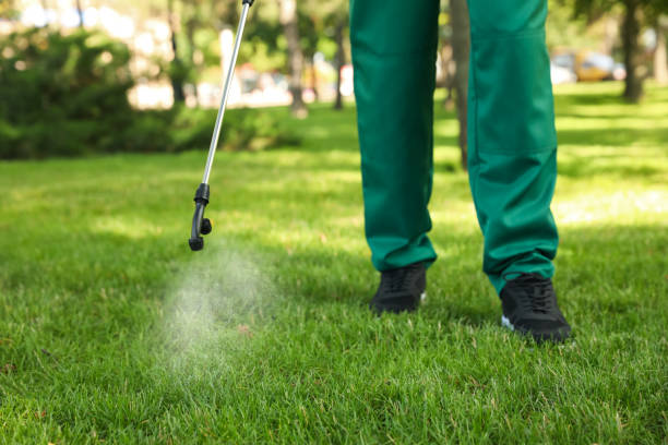 Wasp Removal Services in Haviland, NY