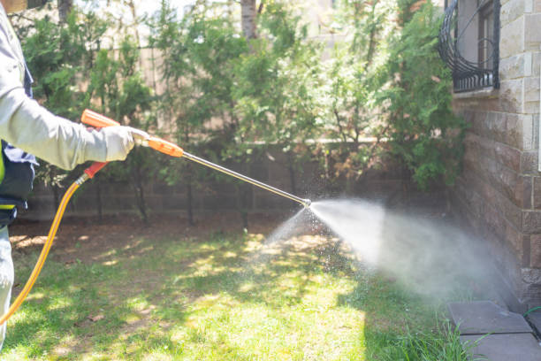 Best Best Pest Control Companies  in Haviland, NY