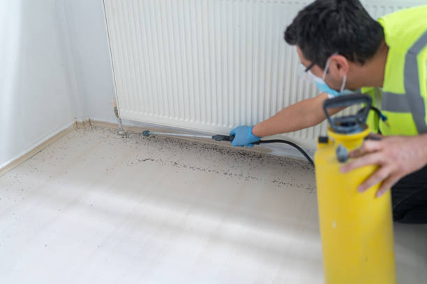 Best Best Pest Control Companies  in Haviland, NY