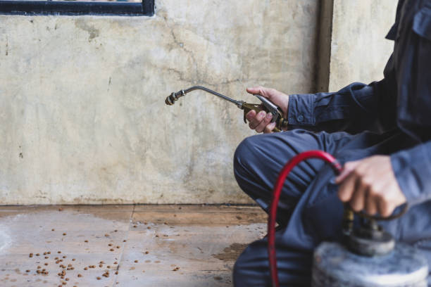 Best Pest Removal Services  in Haviland, NY